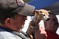 IMG_0034