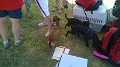 WP_20140914_004