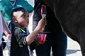 Standdown_9_17_Jody-0018_MG_0018
