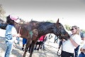 Standdown_9_17_Jody-0033_MG_0033