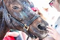 Standdown_9_17_Jody-0034_MG_0034