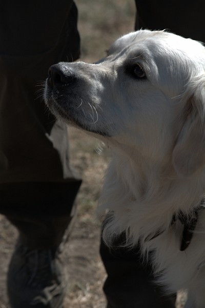 DSC_0259.JPG