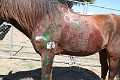 IMG_1571
