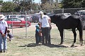 IMG_1589